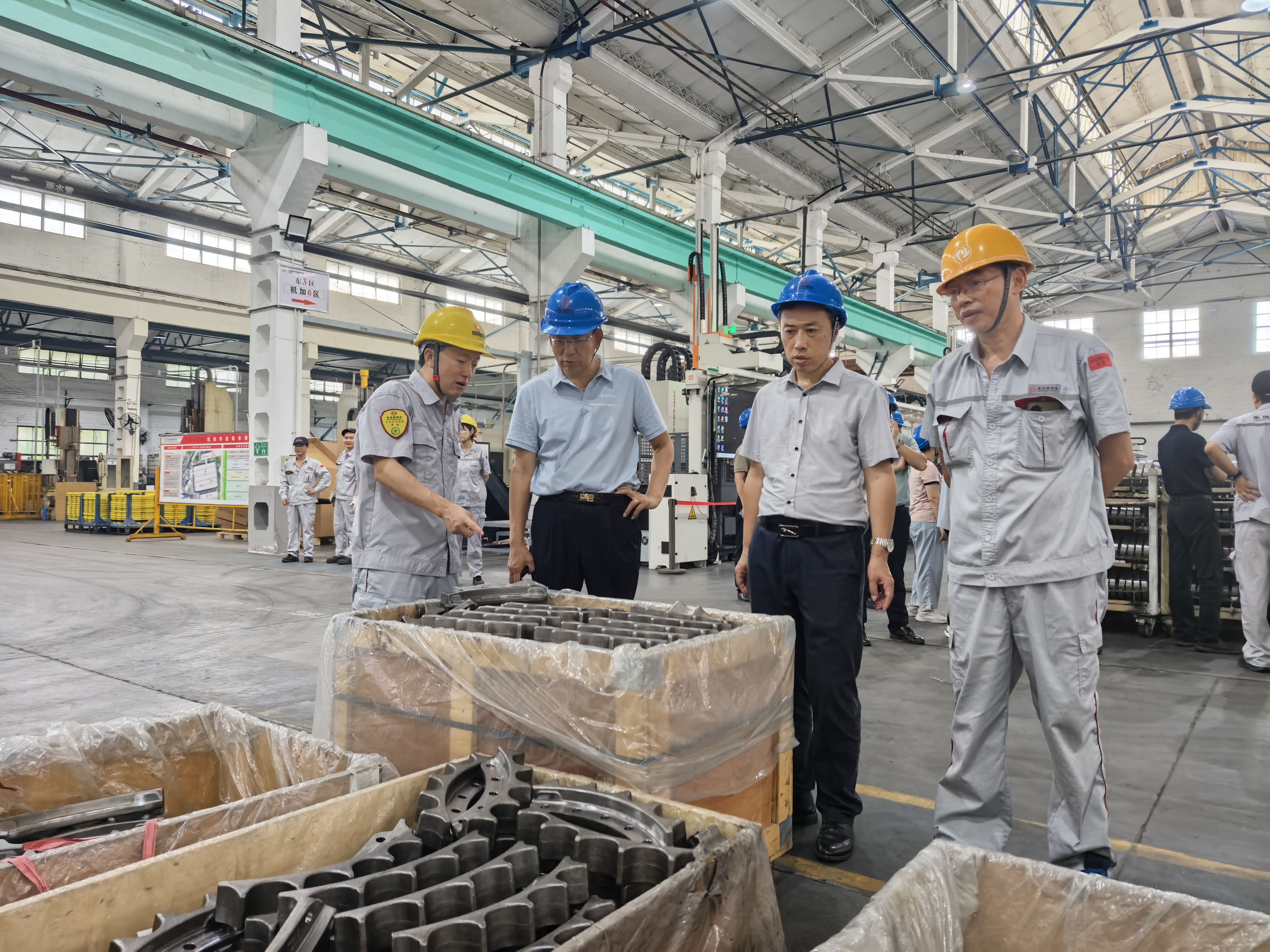 IMG_20250821_085341.jpg IMG_20250821_085341.jpg